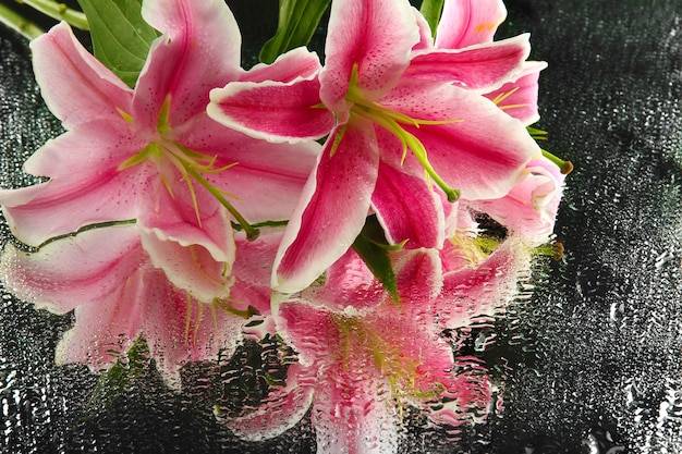 Jak zrobić idealne hybrydy w domowych warunkach?